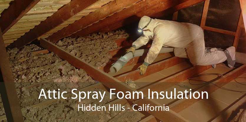 Attic Spray Foam Insulation Hidden Hills - California