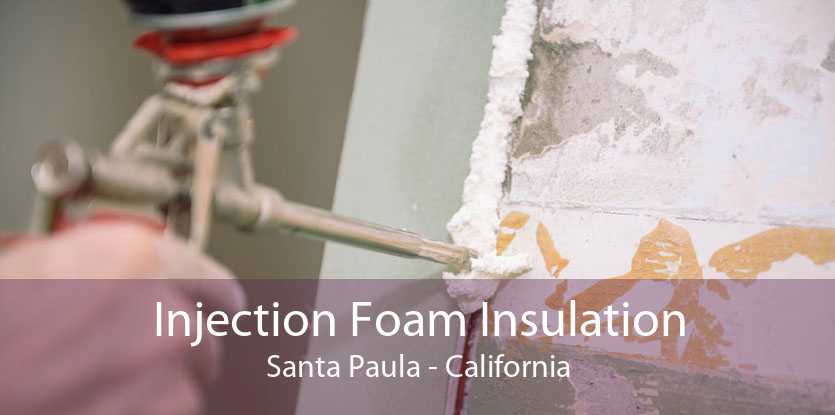 Injection Foam Insulation Santa Paula - California