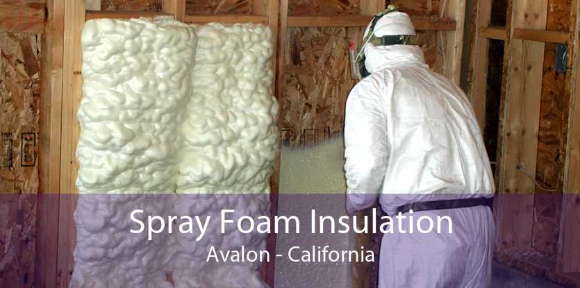 Spray Foam Insulation Avalon - California
